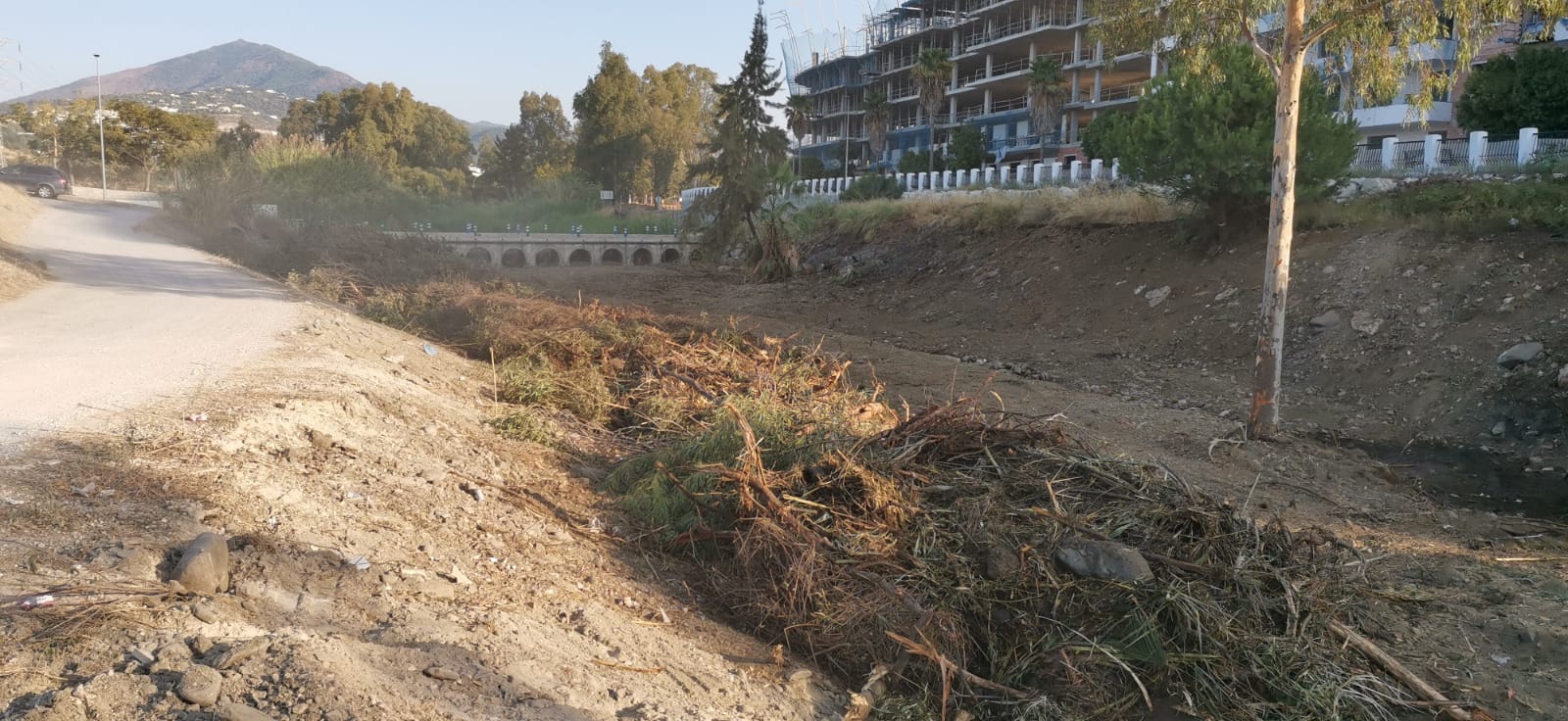 Destrucción del bosque de ribera del cauce bajo del río Guadaiza